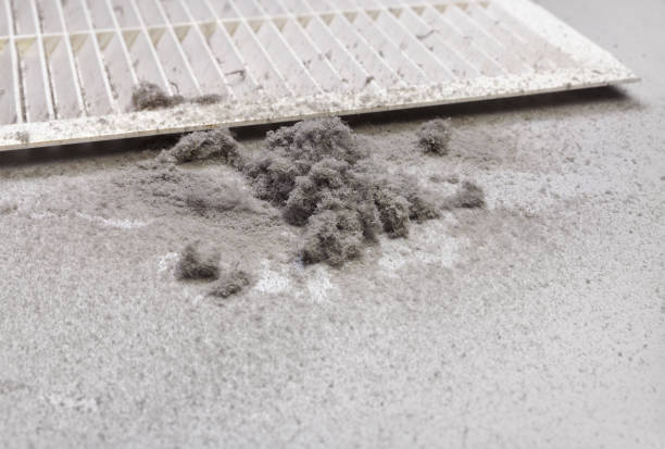Best HVAC Duct Inspection Services  in Deer Park, IL