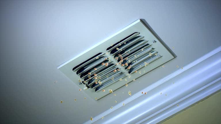 Best Best Air Duct Cleaning Company  in Deer Park, IL
