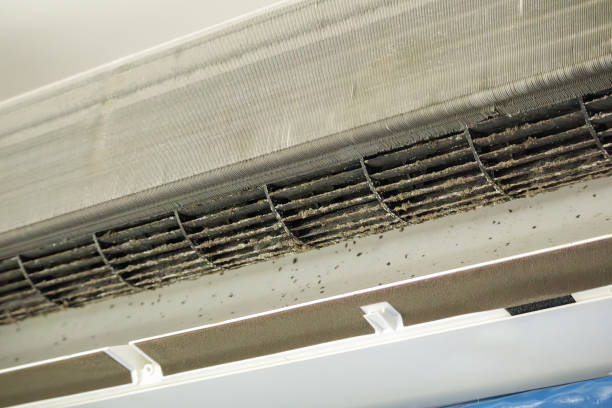 Best Ventilation Cleaning Services  in Deer Park, IL